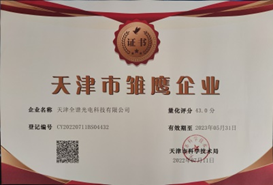 天津市雏鹰企业